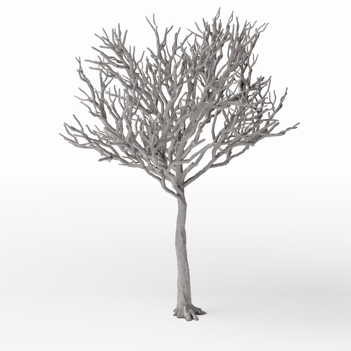 Foto de producto de diorama y modelismo 0: Plantas para dioramas: árbol detallado sin hojas (Ref. 1106D)