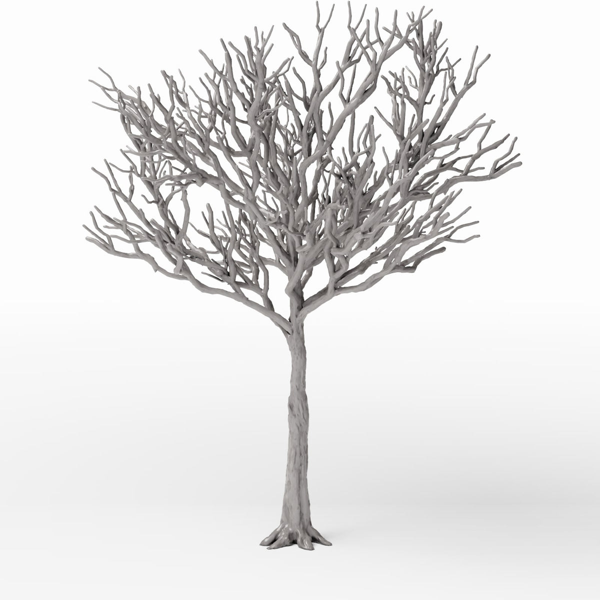 Foto de producto de diorama y modelismo 2: Plantas para dioramas: árbol detallado sin hojas (Ref. 1106D)