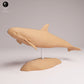 Produktfoto Tier Figur Diorama, Modellbau: 0: Meerestier Figur: Vaquita – Schweinswal (Ref 25_07_05)