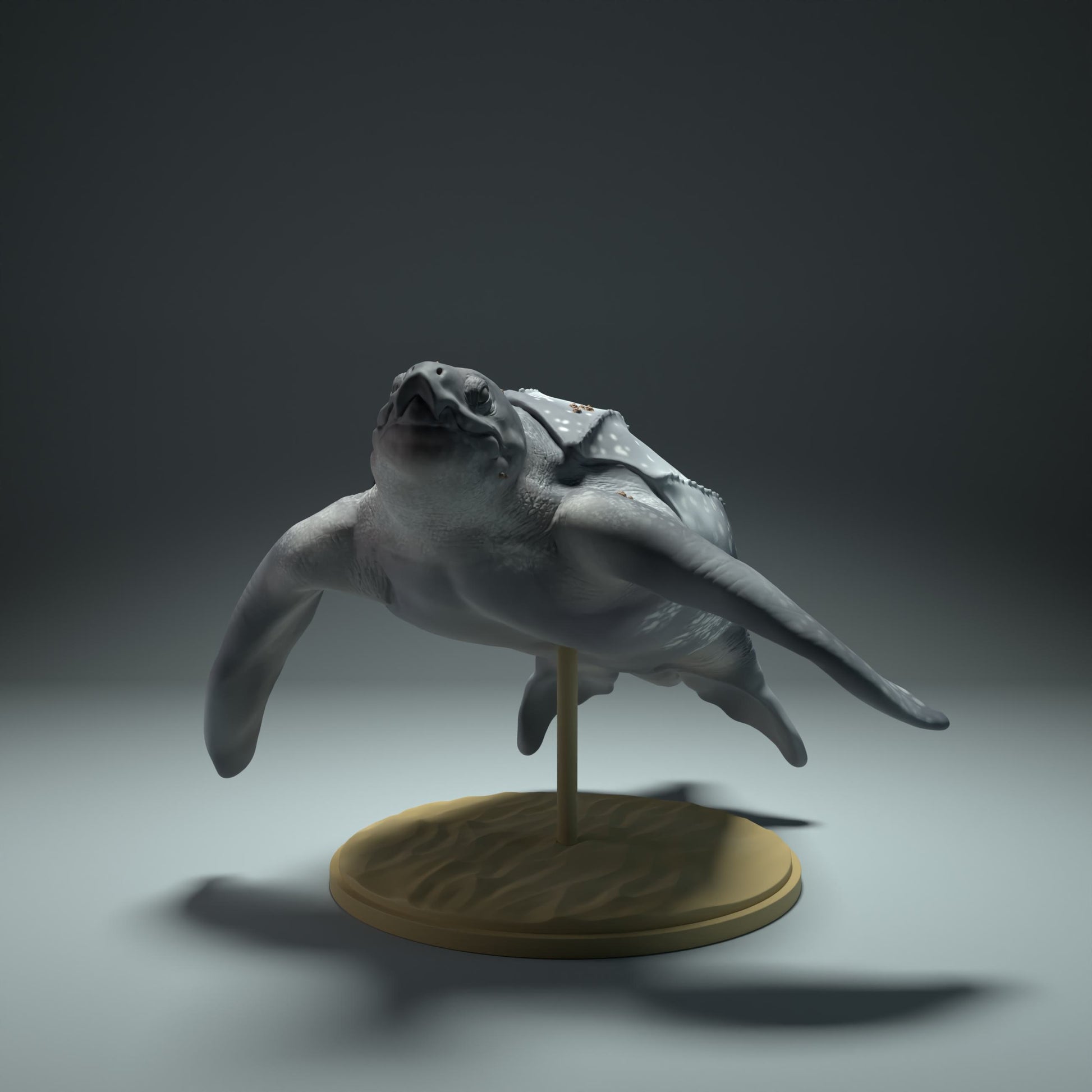 Produktfoto Tier Figur Diorama, Modellbau: 0: Meerestier Figur: schwimmende Lederschildkröte (Ref 01_01_32)