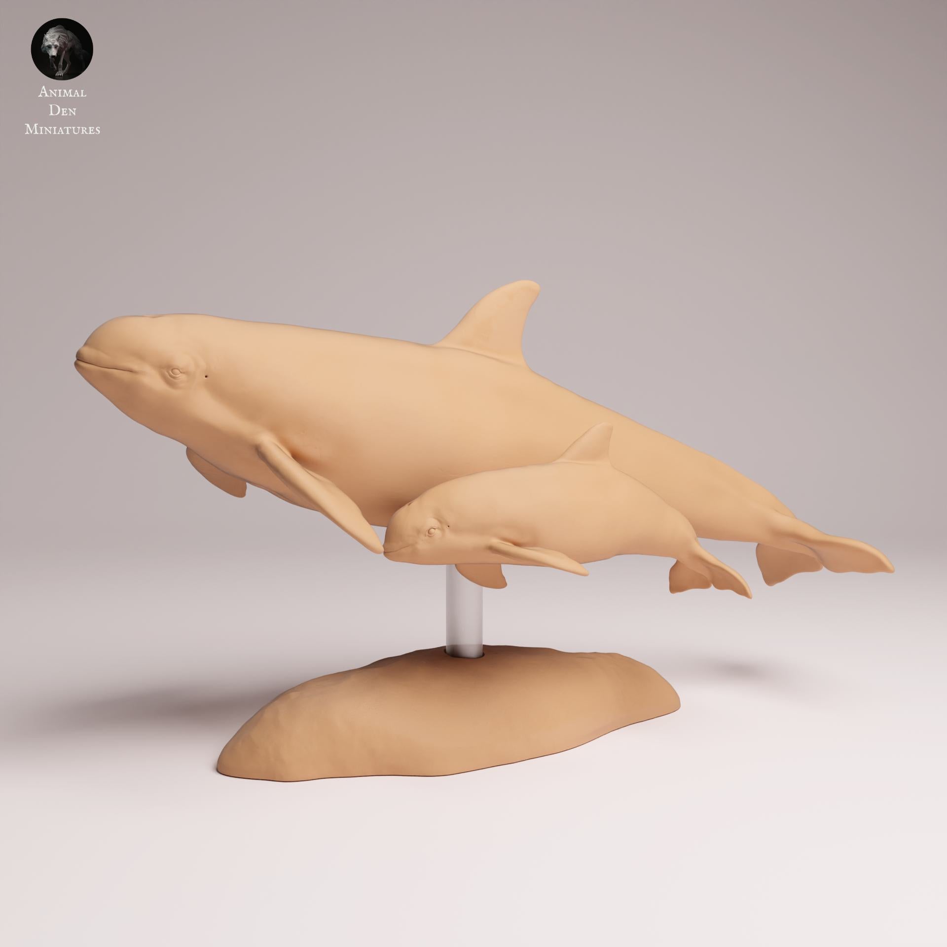 Produktfoto Tier Figur Diorama, Modellbau: 0: Meerestiere Figur: Vaquita mit Kalb – Schweinswal (Ref 25_07_03)