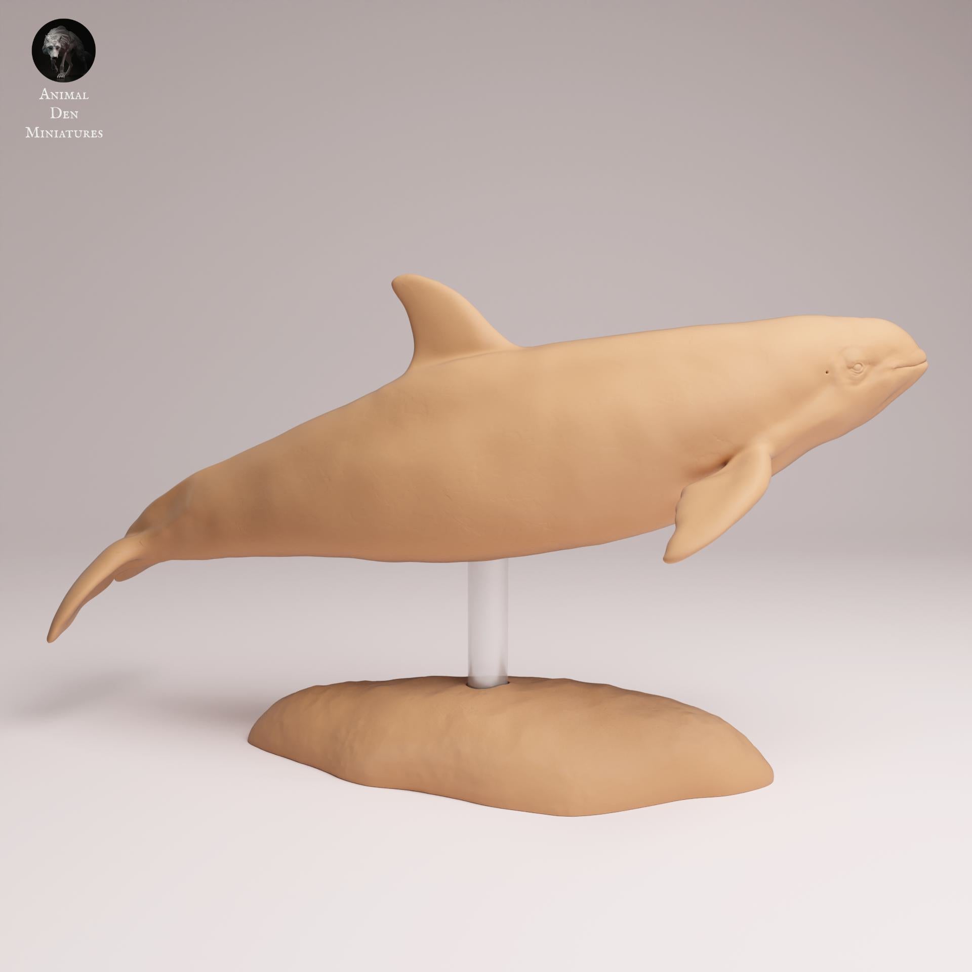 Produktfoto Tier Figur Diorama, Modellbau: 0: Meerestier Figur: Vaquita – Schweinswal (Ref 25_07_05)
