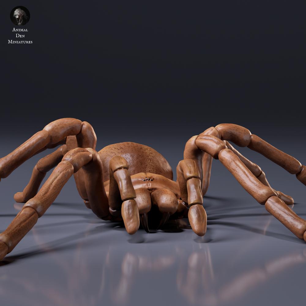 Foto del producto, figura de animal Animal Den Miniatures 6: figura de arácnido: tarántula Goliat (26_10_01)