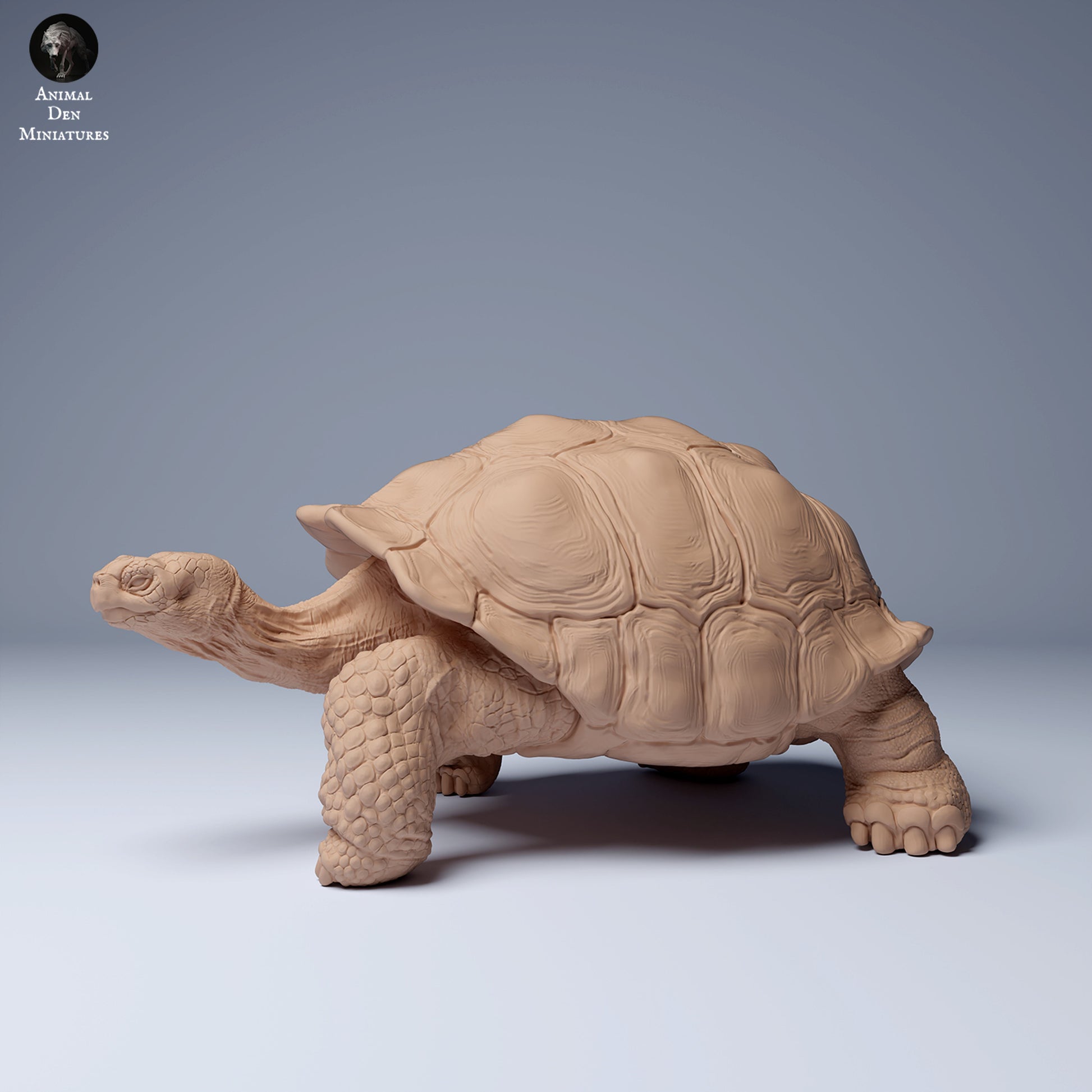 Produktfoto Tier Figur Diorama, Modellbau: 0: Wildtier Figur: Galápagos-Riesenschildkröte (Ref 24_08_05)
