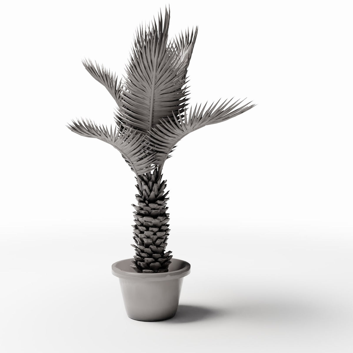 Foto de producto de modelismo de diorama 0: Plantas para diorama: palma de sagú en maceta (Ref. 503D)