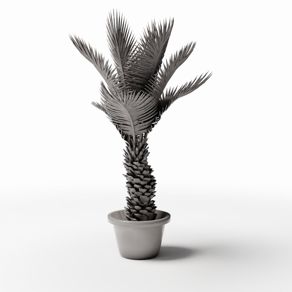 Foto de producto de modelismo de diorama 2: plantas para diorama: palma de sagú en maceta (Ref. 503D)