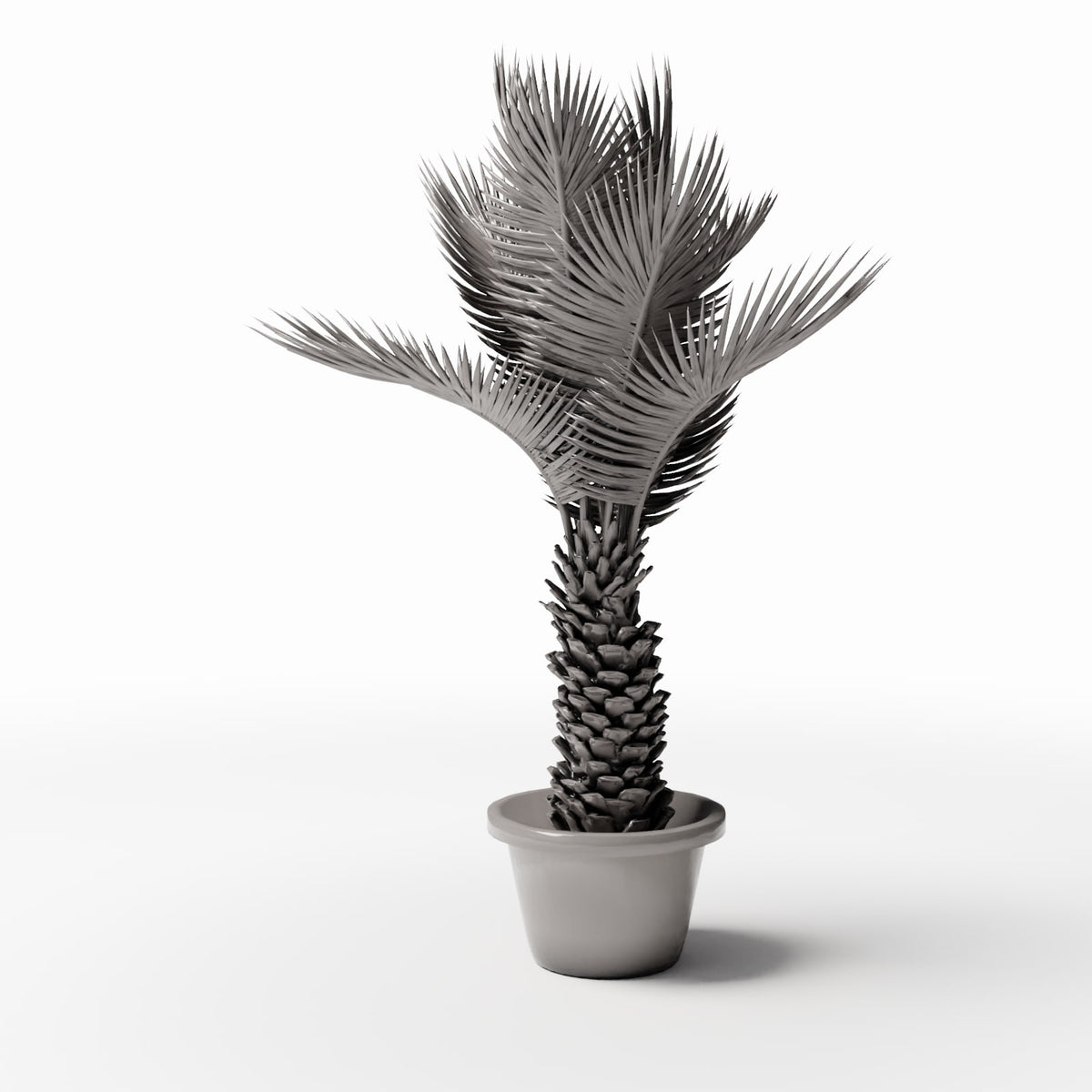 Foto de producto de modelismo de dioramas 3: plantas para diorama: palma de sagú en maceta (Ref. 503D)
