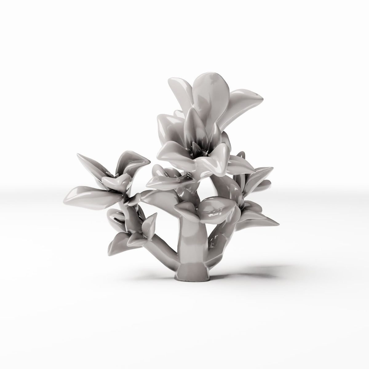 Foto de producto de modelismo de diorama 3: plantas para diorama: peperomia frondosa (Ref. 546D)