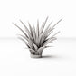 Foto de producto de modelismo de diorama 0: Plantas para diorama: planta en roseta en maceta (Ref. 582D)