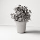 Diorama Modellbau Produktfoto 1: Diorama Pflanze: Oxalis-Klee im Blumentopf (Ref. 58D)