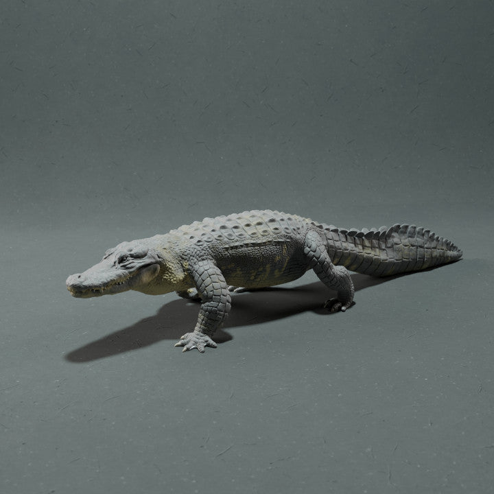 Foto de producto, figura de animal Animal Den Miniatures 3: figura de animal de pantano: caimán del Misisipi (22_10_12)