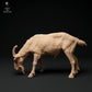 Foto del producto Figura de animal Diorama, Modelismo: 0: Cabra montés de los Alpes: pastando
