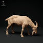 Foto del producto Figura de animal Diorama, Modelismo: 0: Cabra montés de los Alpes: pastando