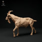 Foto del producto figura de animal diorama, modelismo: 0: macho de cabra alpina: caminando