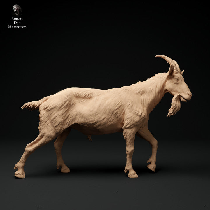 Foto del producto figura de animal diorama, modelismo: 0: macho de cabra alpina: caminando