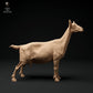 Foto del producto figura de animal diorama, modelismo: 0: cabra alpina