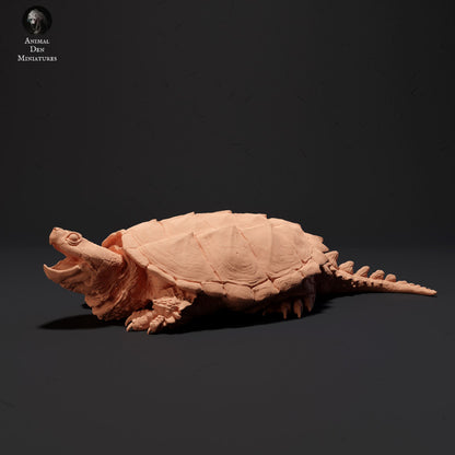 Foto del producto figura de animal diorama, modelismo: 0: tortuga mordedora agresiva: animales del norte