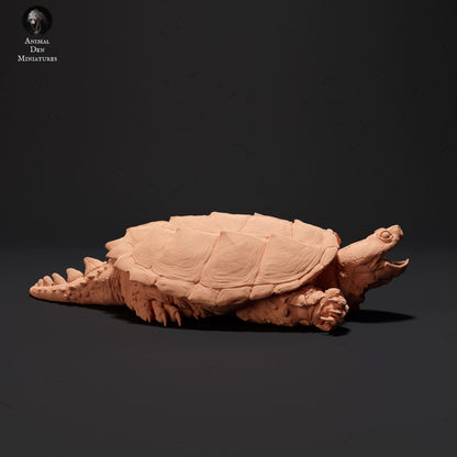 Foto del producto figura de animal diorama, modelismo: 0: tortuga mordedora agresiva: animales del norte