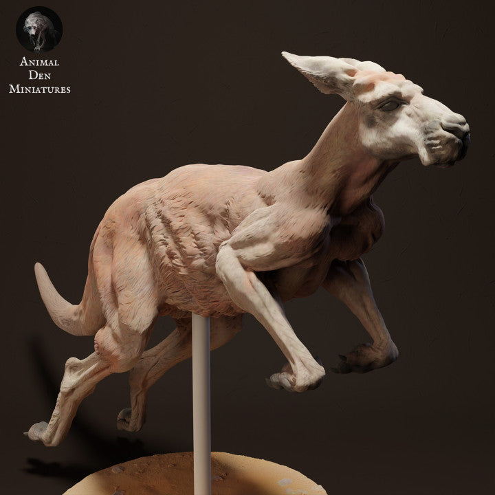 Foto de producto figura de animal Animal Den Miniatures 2: Figura de animal salvaje: canguro rojo gigante Jack - saltando (23_04_04)