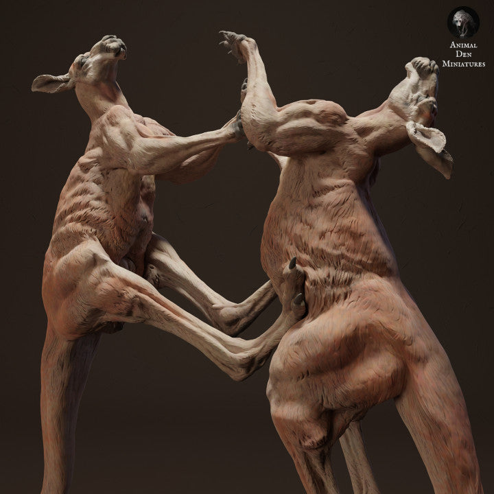 Foto de producto figura animal Animal Den Miniatures 0: Figura de animal salvaje: canguros rojos gigantes luchando (23_04_10)