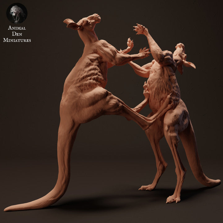 Foto de producto de figura animal Animal Den Miniatures 1: figura de animal salvaje: canguros rojos gigantes en combate (23_04_10)