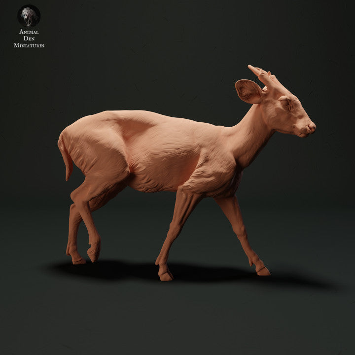 Foto de producto, figura de animal Animal Den Miniatures 1: figura de animal salvaje: muntíaco (23_05_04)