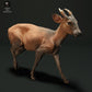 Foto de producto de figura animal Animal Den Miniatures 2: Figura de animal salvaje: ciervo muntíaco (23_05_04)