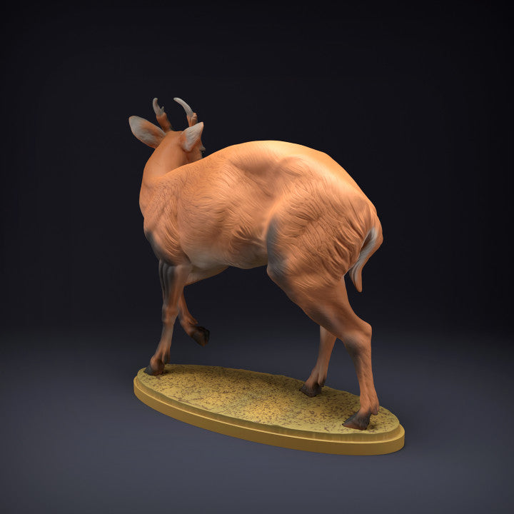 Foto de producto de figura de animal Animal Den Miniatures 2: figura de animal salvaje: ciervo muntíaco (22_08_08)