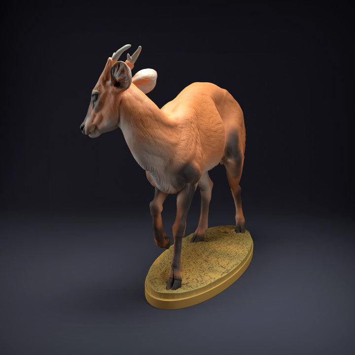 Foto de producto de figura de animal Animal Den Miniatures 3: Figura de animal salvaje: ciervo muntíaco (22_08_08)