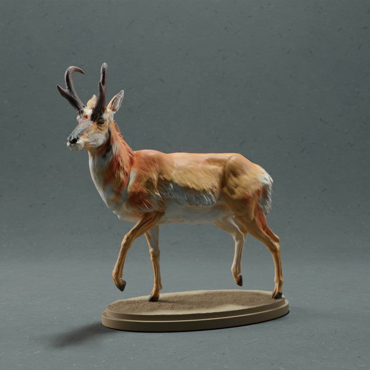 Foto del producto de figura animal Animal Den Miniatures 0: Figura de animal salvaje: berrendo - macho (22_10_09)