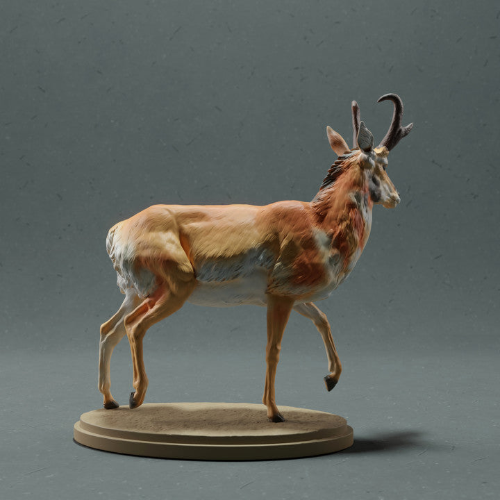 Foto de producto figura de animal Animal Den Miniatures 2: Figura de animal salvaje: berrendo macho (22_10_09)