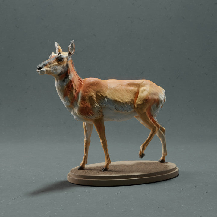 Foto de producto de figura animal Animal Den Miniatures 0: Figura de animal salvaje: berrendo hembra (22_10_08)