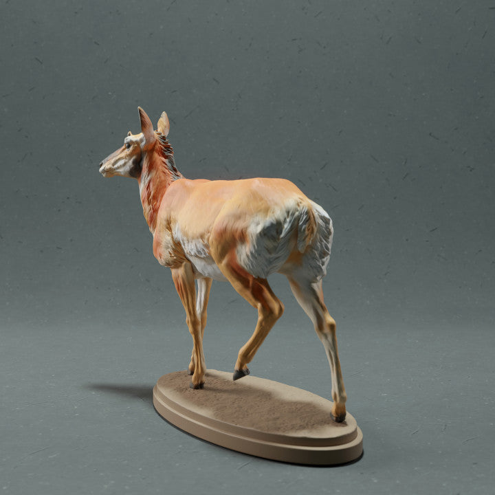 Foto de producto figura animal Animal Den Miniatures 3: animal salvaje figura animal: berrenda hembra (22_10_08)