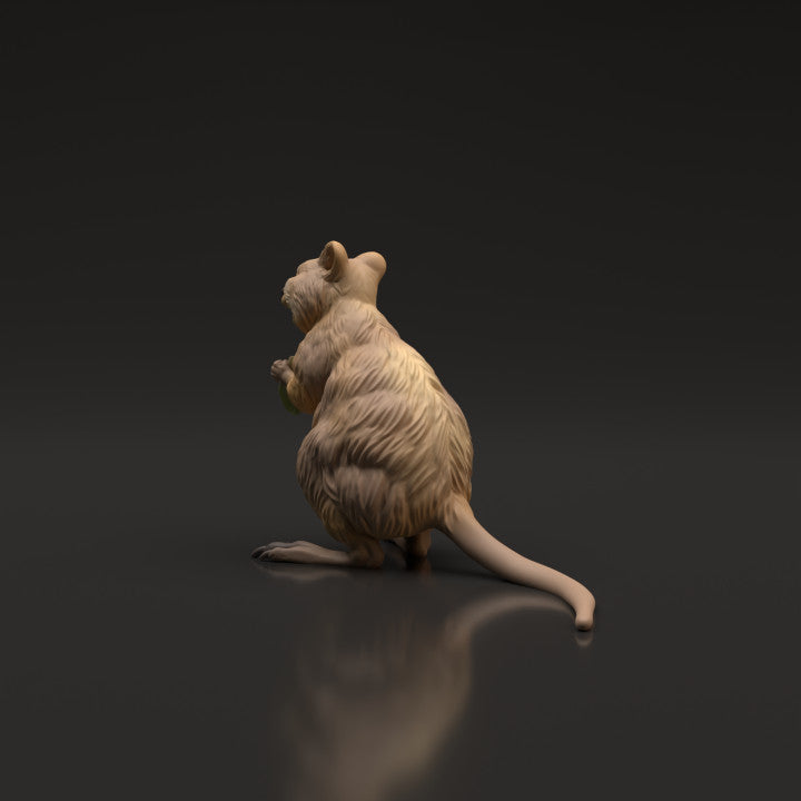 Produktfoto Tierfigur Animal Den Miniatures 4: Wildtier Tierfigur: Quokka (22_06_07)