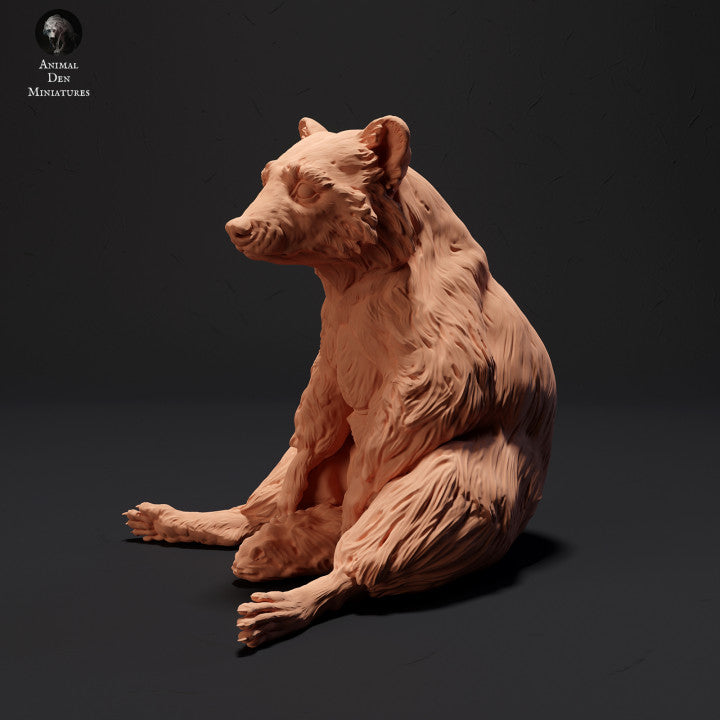 Foto del producto figura de animal diorama, modelismo: 0: mapache sentado: animales del norte