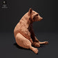 Foto del producto figura de animal diorama, modelismo: 0: mapache sentado: animales del norte