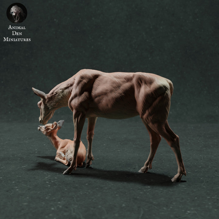 Foto de producto de figura animal Animal Den Miniatures 2: figura de animal salvaje: cierva con cría (22_11_10)