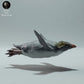 Foto de producto, figura de animal Animal Den Miniatures 2: Figura de animal marino: pingüino saltarrocas - nadando (22_12_10)
