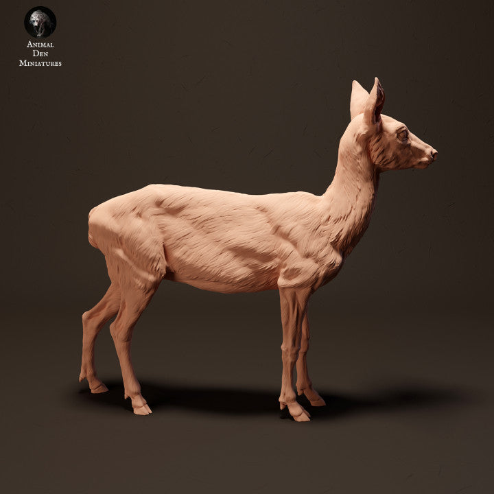 Produktfoto Tier Figur Diorama, Modellbau: 0: Europäisches Reh: Tiere aus Europa