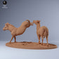 Produktfoto Tier Figur Diorama, Modellbau: 0: Zebra Männchen Revierkampf: Tiere aus Afrika