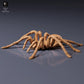 Foto del producto de figura de animal Animal Den Miniatures 7: Figura de arácnido: tarántula Goliat (26_10_01)