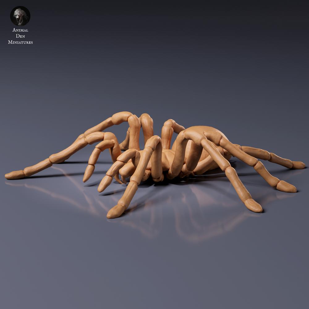 Foto del producto de figura de animal Animal Den Miniatures 7: Figura de arácnido: tarántula Goliat (26_10_01)