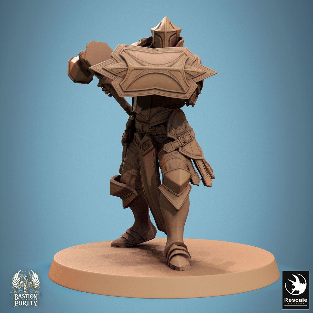 Foto del producto Tabletop 28mm Lord of the Print (LotP) 0: Miniatura de Tabletop: Paladín Caballero del Orden con escudo de torre y martillo de guerra - portador de escudo fuertemente blindado, guerrero sagrado, combatiente de primera línea/tanque (24_09_C17)