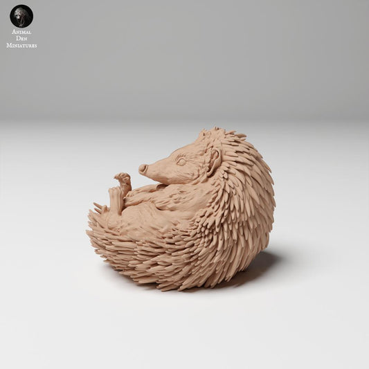 Foto de producto 0: Figura de animal salvaje: erizo europeo - enrollado (24_11_05)