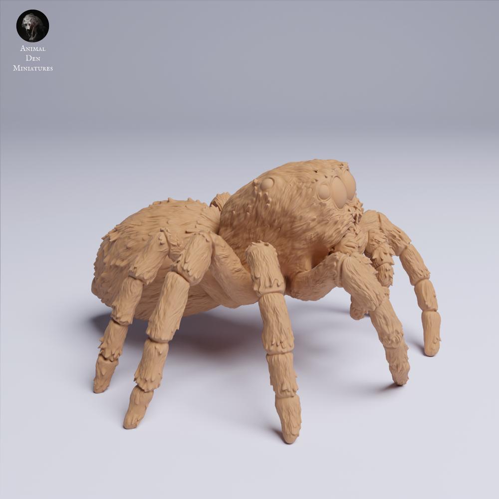 Foto de producto de figura de animal Animal Den Miniatures 0: Figura de animal de araña: araña saltarina de ojos dorados (25_05_02)