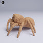 Foto de producto de figura animal Animal Den Miniatures 1: figura animal de araña: araña saltarina de ojos dorados (25_05_02)