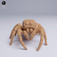 Foto de producto de figura animal Animal Den Miniatures 2: Figura animal de araña: araña saltarina de ojos dorados (25_05_02)