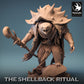 Tortuga Shellspike - Poderosa y mágica criatura - Mago/Hechicero (E)