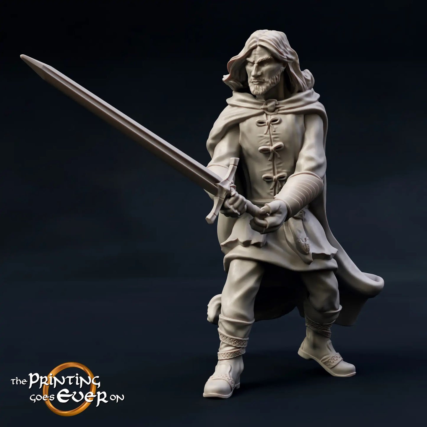 Foto del producto Tabletop 28mm The Printing Goes Ever On (TPGEO) 0: 9 héroes en pose de combate: compañeros de humanos, elfos, enanos y medianos - guerreros