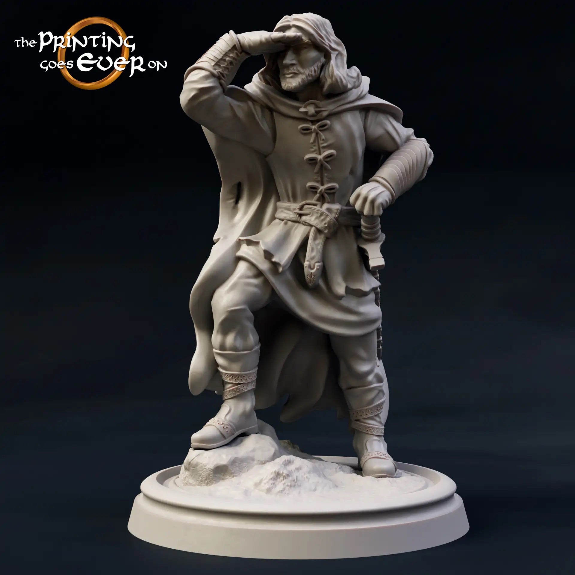 Foto del producto Tabletop 28mm The Printing Goes Ever On (TPGEO) 0: 9 héroes en pose de viaje: compañeros de humanos, elfos, enanos y medianos - Viajero